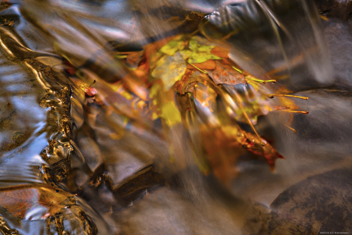 FallLeafPileUpInCreekFlow.jpg