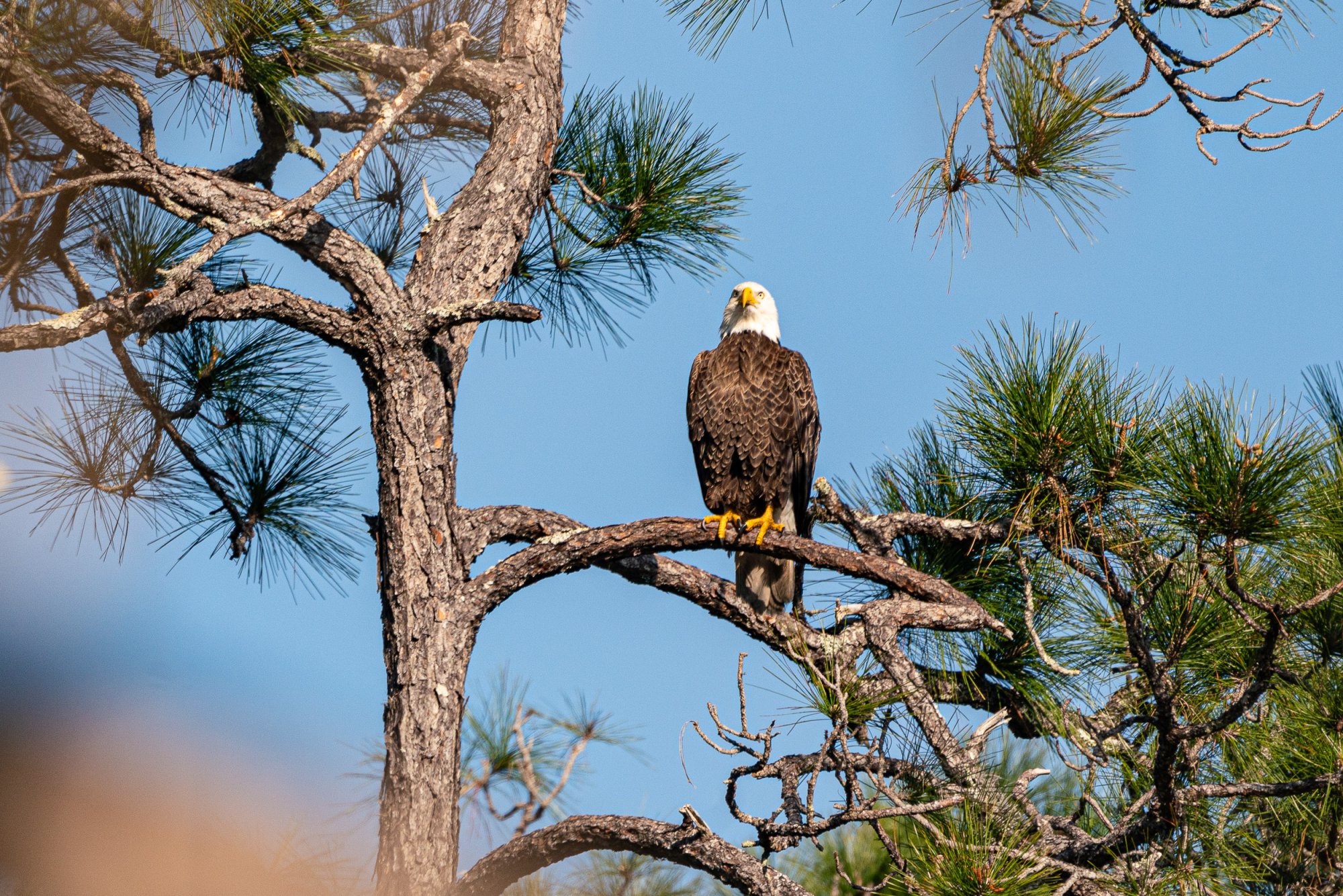 Feb 2024 Wetlands -2500px-19.jpg