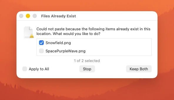 Alert displayed by File Cabinet Pro when multiple files fail to be pasted with the same 'File Already Exists' error.