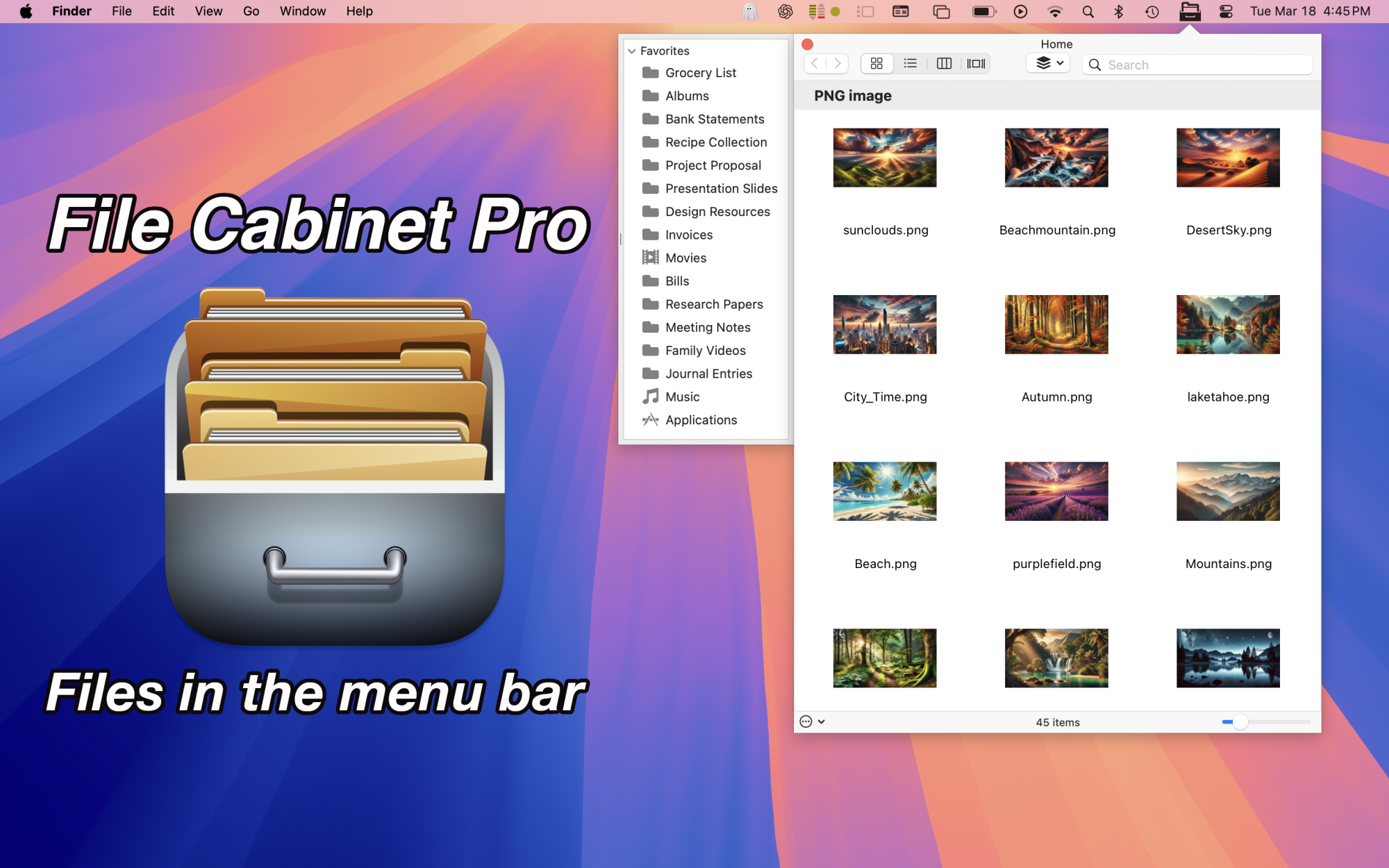 File Cabinet Pro on macOS Sequoia in icon view.