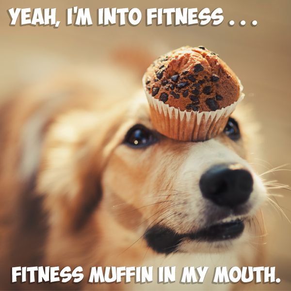 fitness muffin in my mouth.jpg