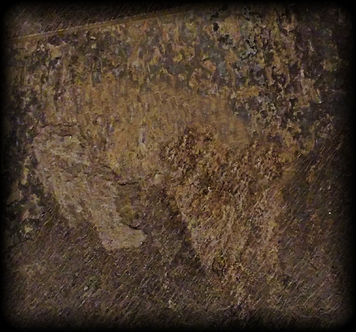 floor tile dog xv.jpg