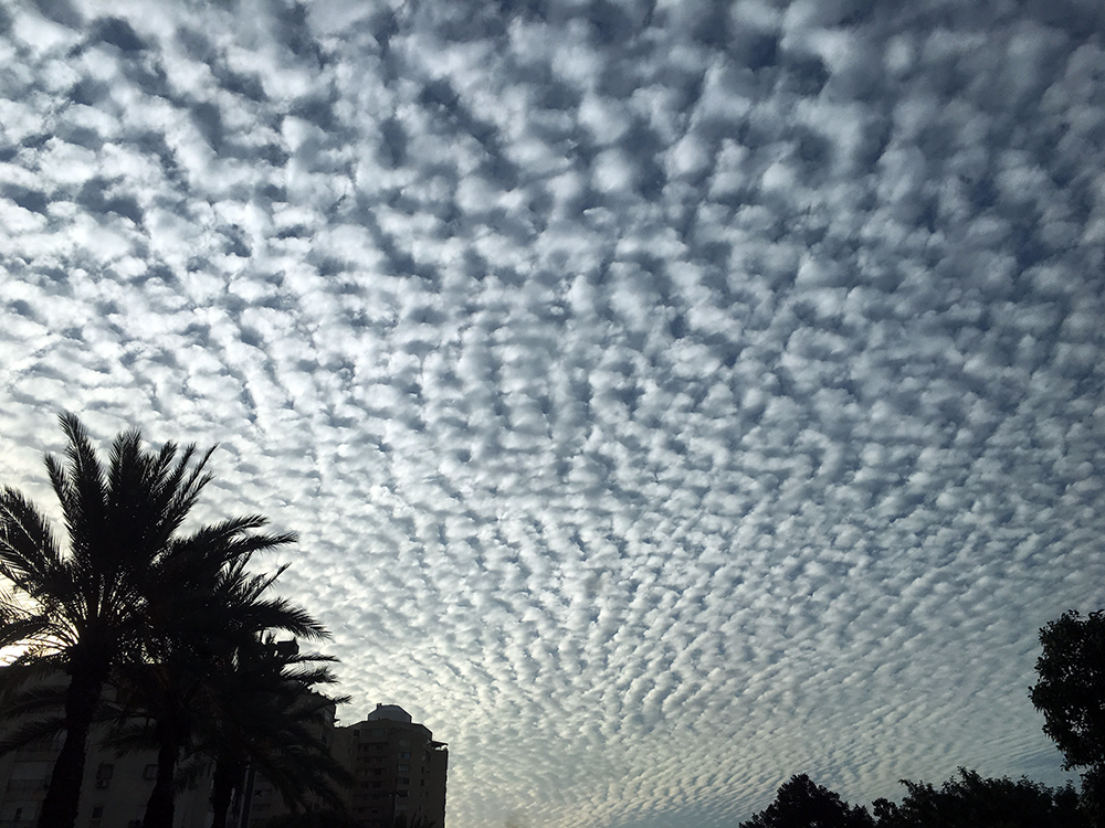 fluffy clouds.jpg