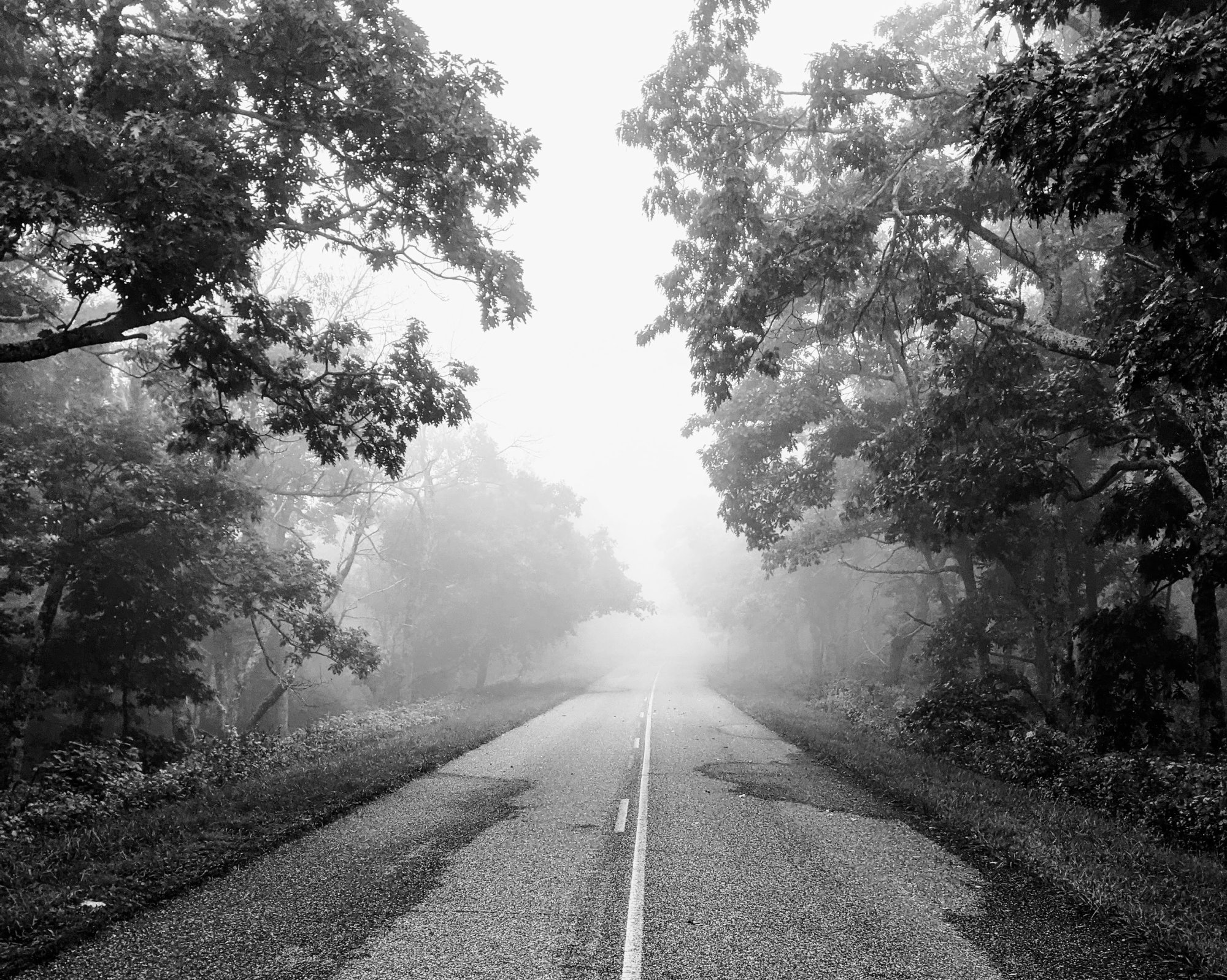 Foggy BRP.jpg