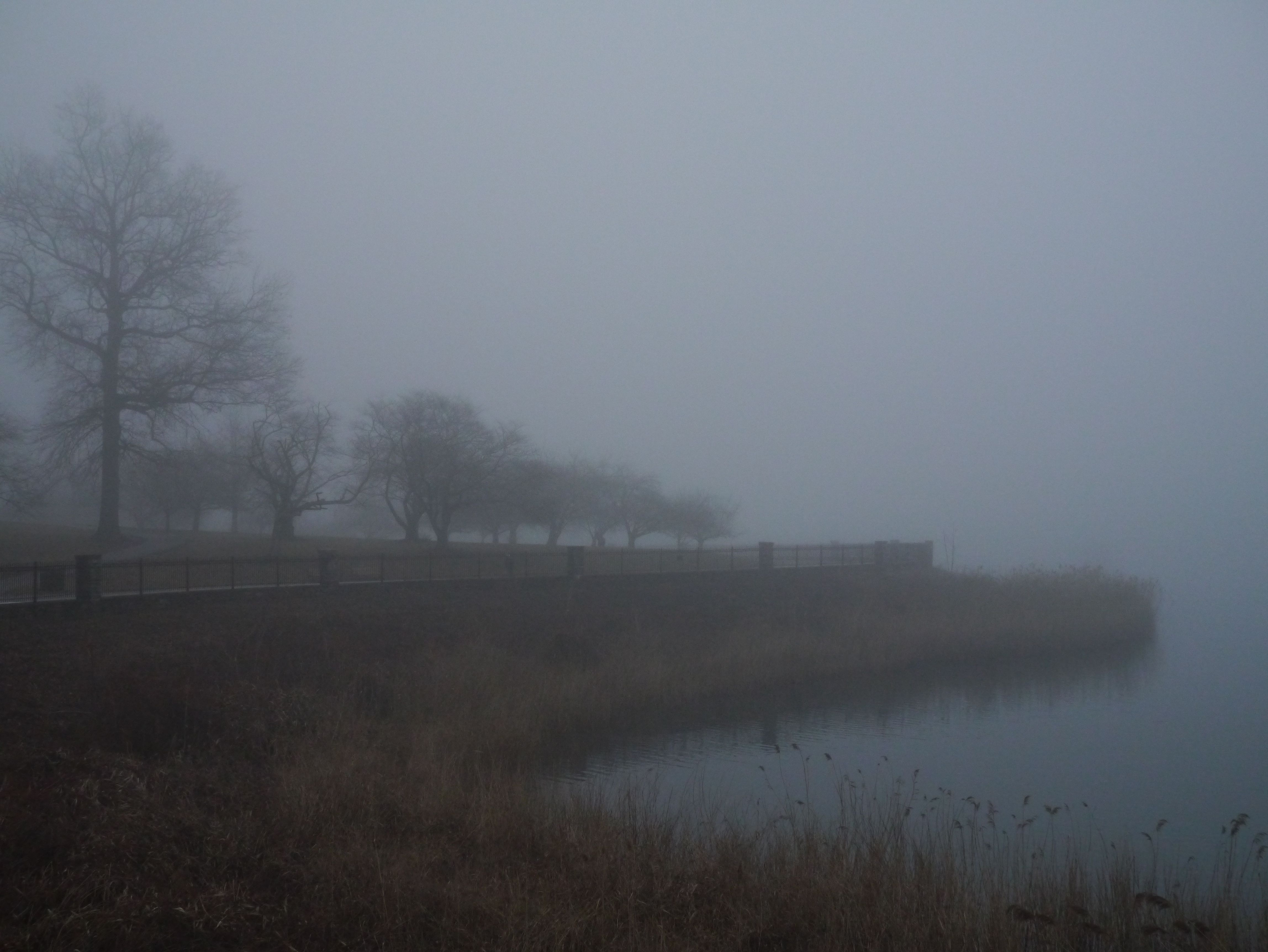 Foggy.jpg