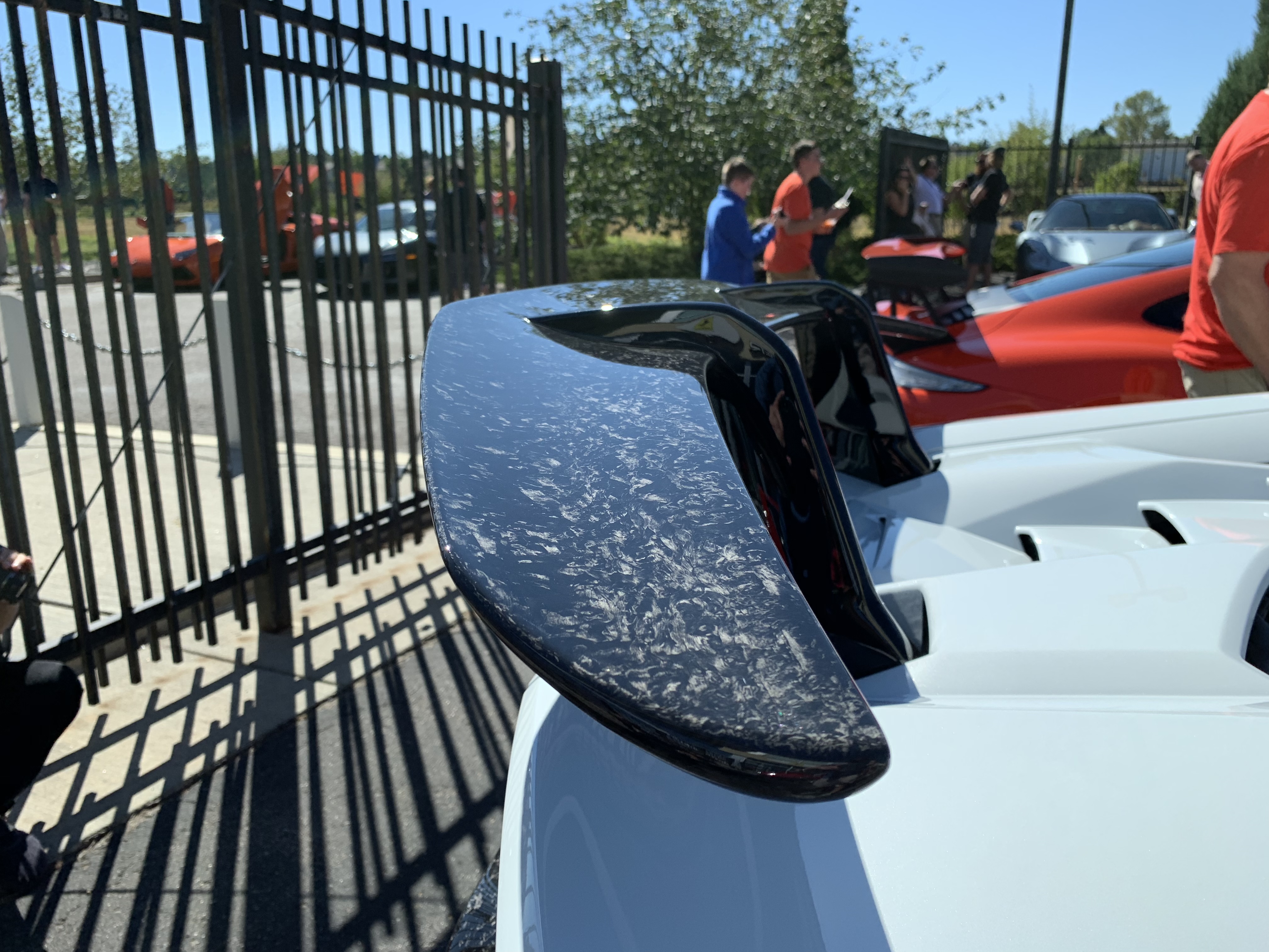 forged carbon fiber(1).jpeg