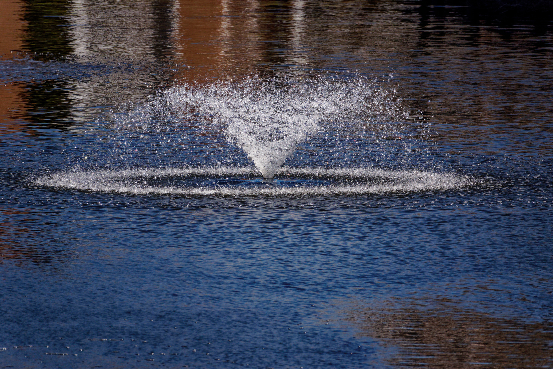 Fountain Burbling in the Lake.jpeg