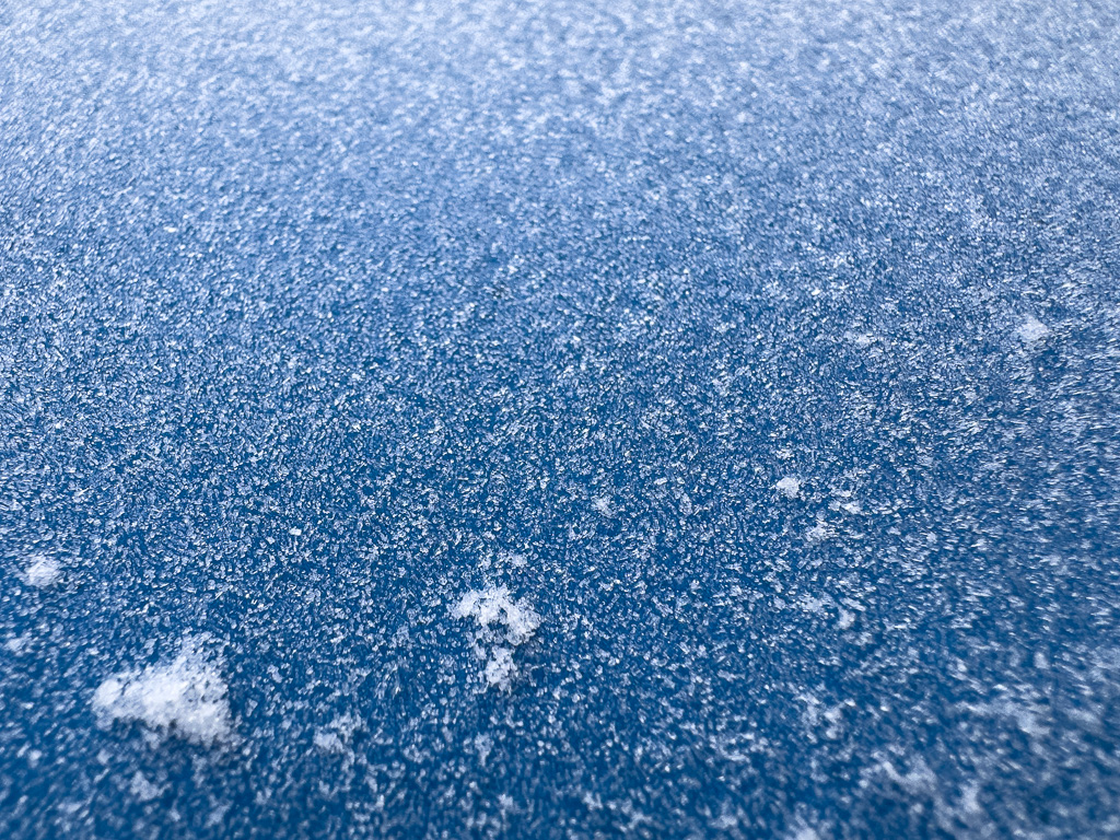 frost20241118.jpg