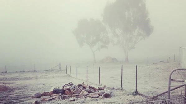 Frosts.jpg