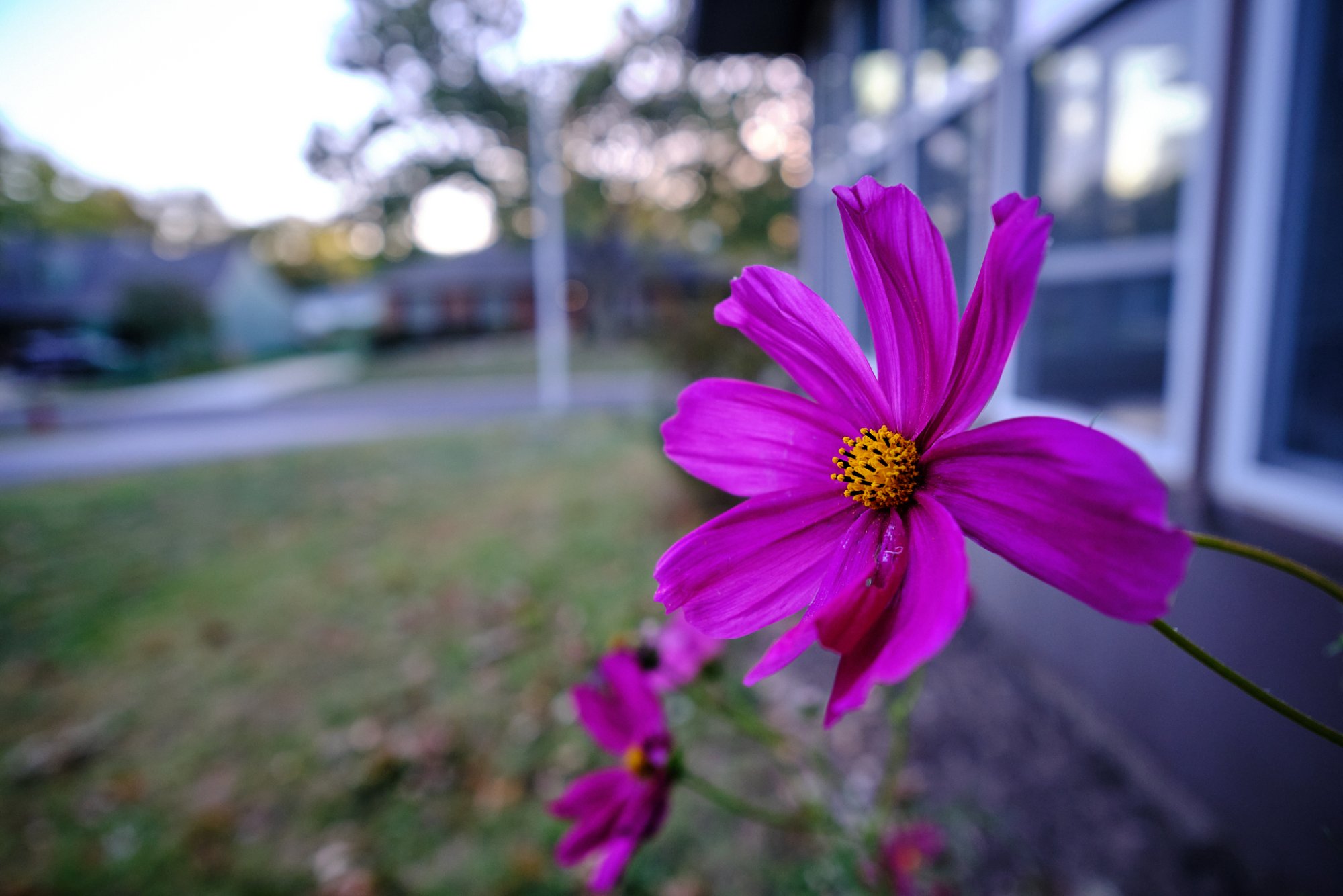 FUJI9332.jpg
