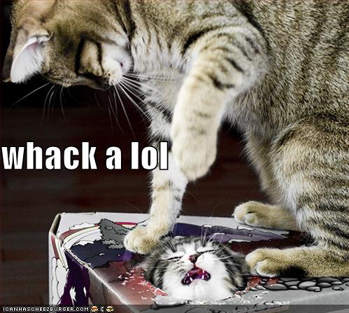 Caturday