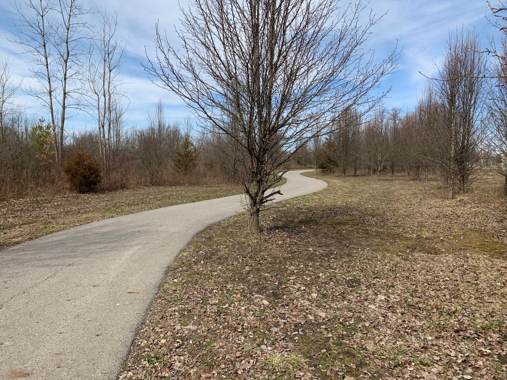 Galloway Road Sports complex - winding trail landscape.jpeg