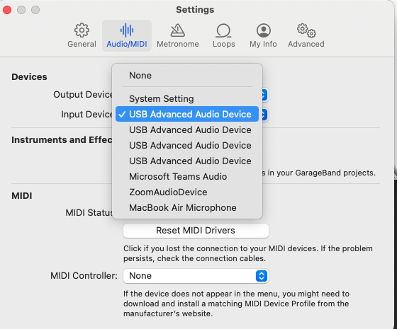 garageband input options Screenshot 2023-10-23 at 4.36.11 PM.jpg