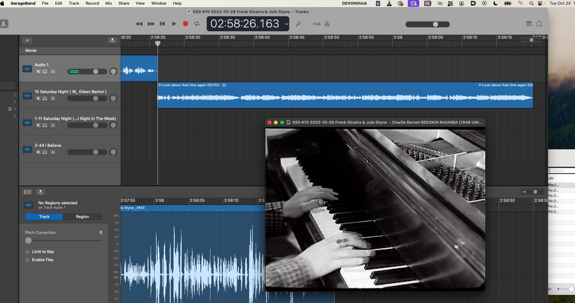 GARAGEBAND weird video freeze - Screenshot 2023-10-24 at 1.29.08 PM.jpg