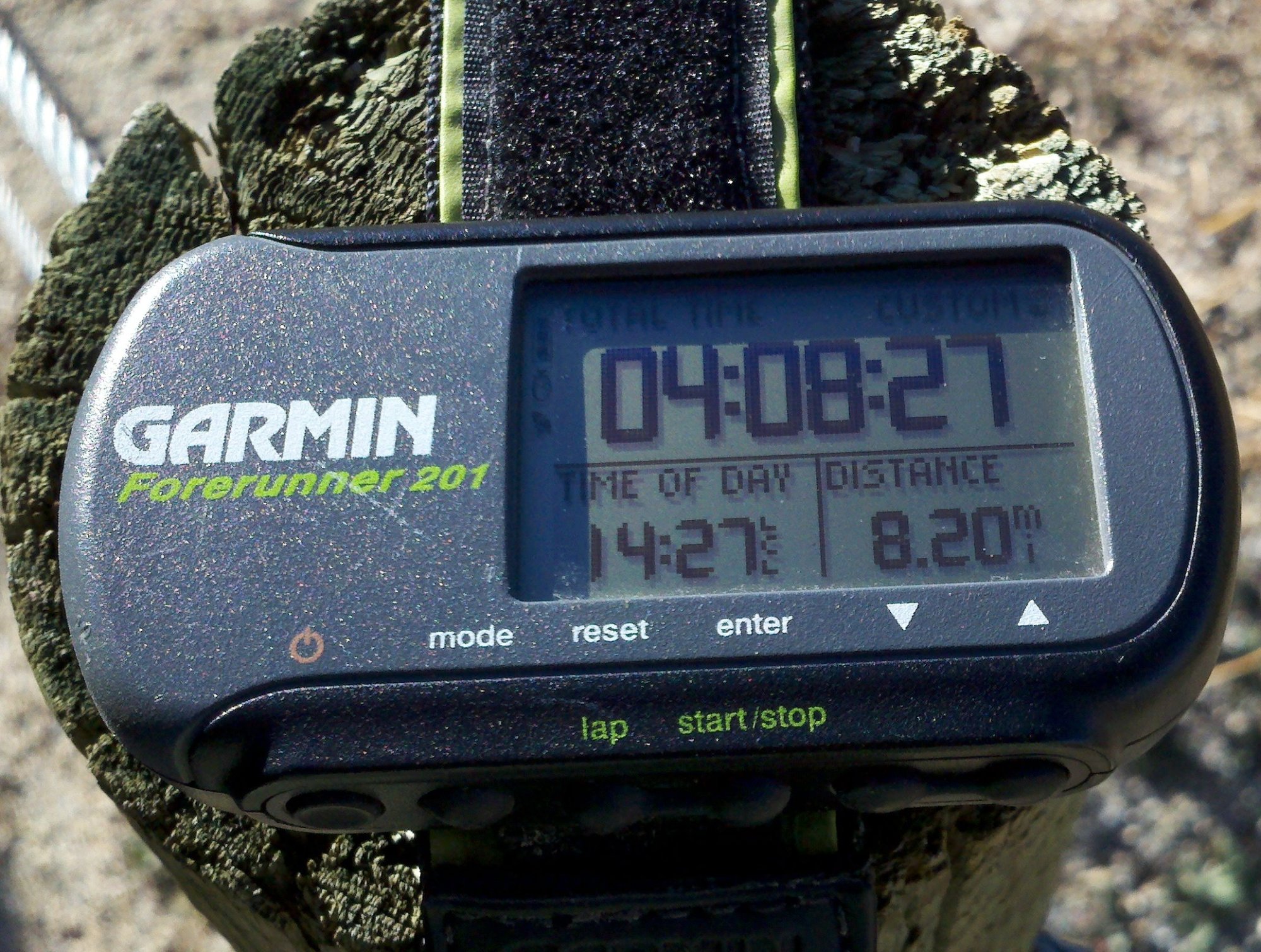 Garmin_Forerunner_201_cropped.jpg