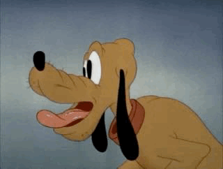 GIF-2021-02-13-03-30-27.gif