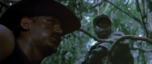 giphy-2.gif