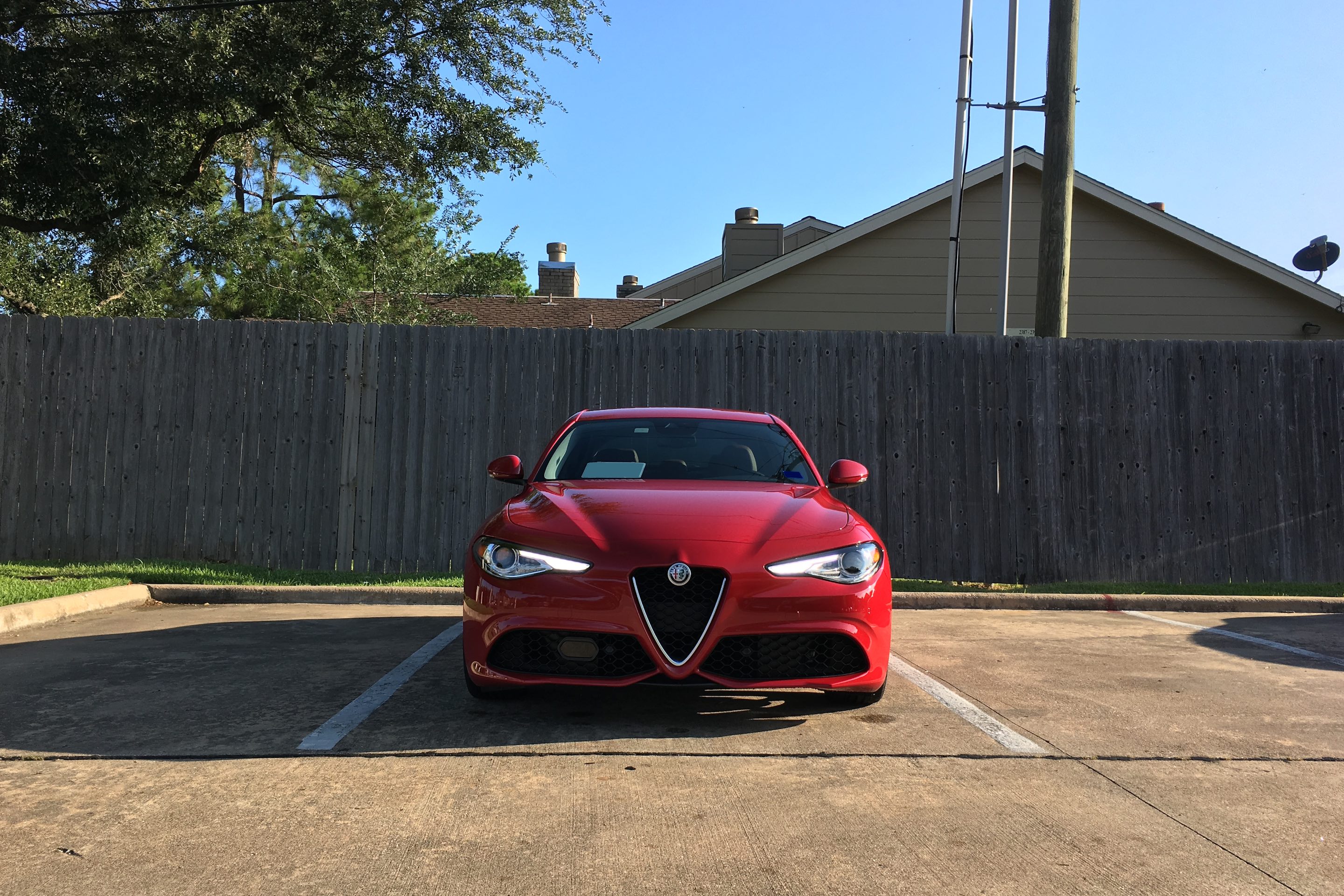 giulia.jpg