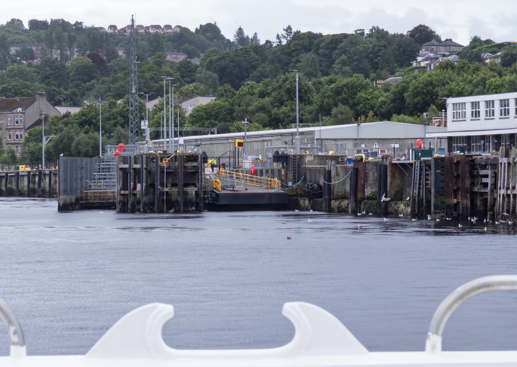 Gourock20250805-4.jpg