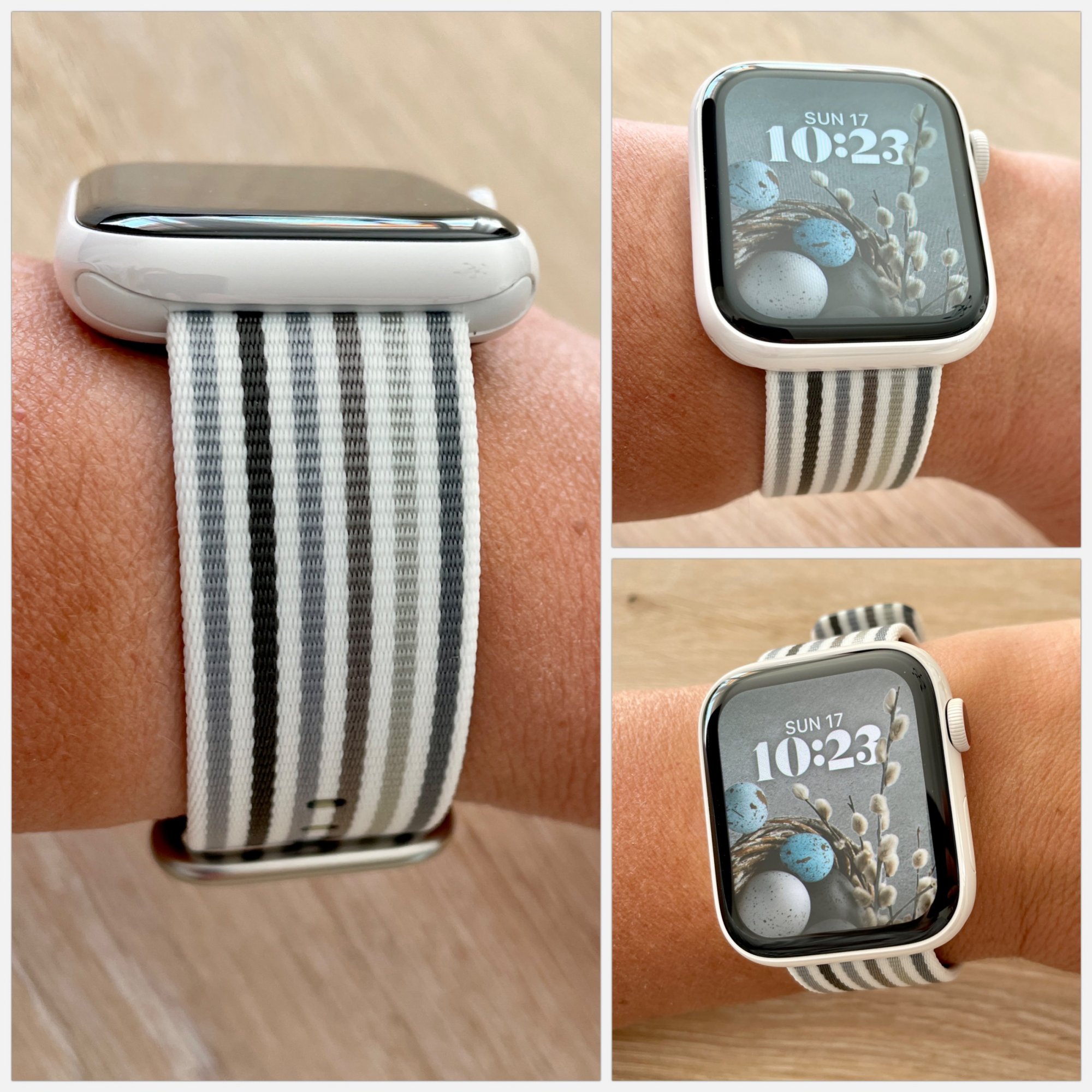 graystripes_wn_ceramic.JPG