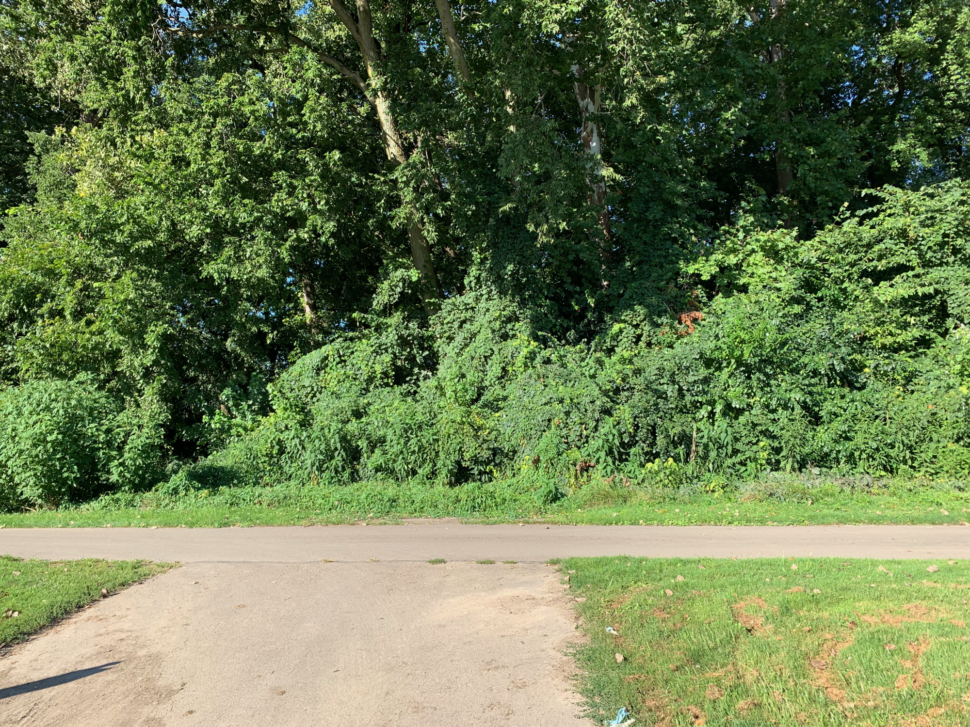 Greater Miami River Rec Trail - Entrance from school.png