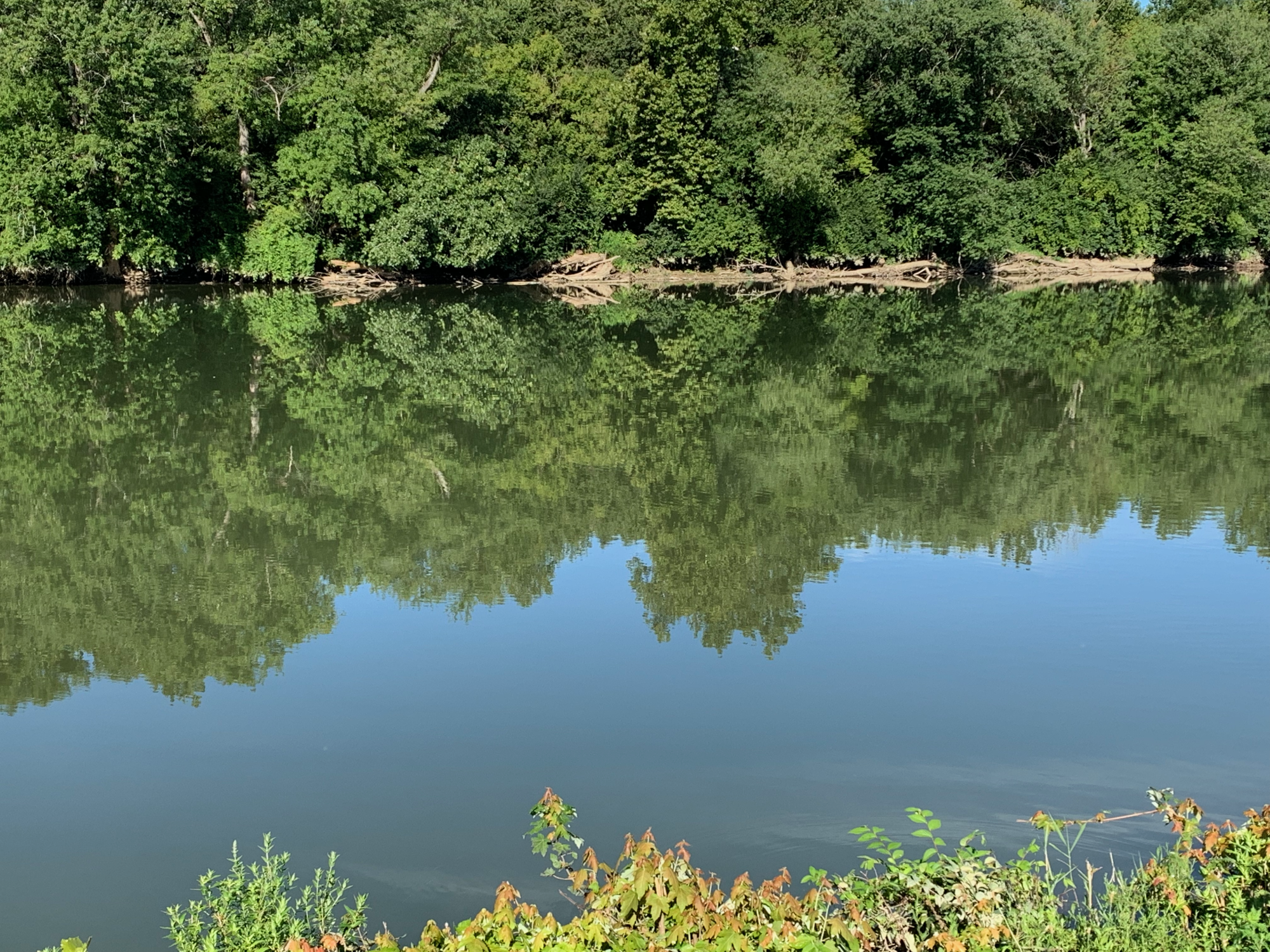 Greater Miami River Rec Trail - River 1.png