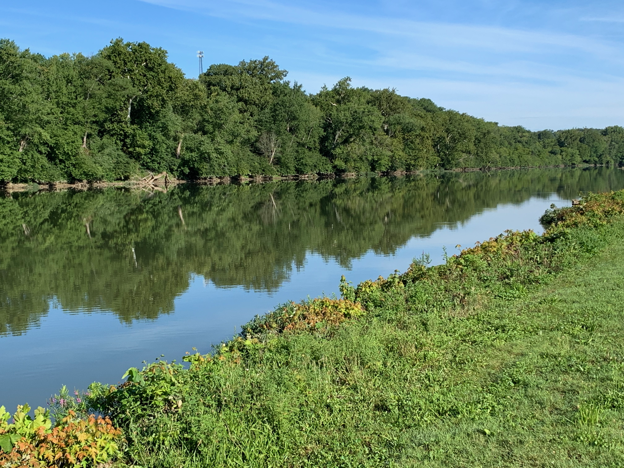 Greater Miami River Rec Trail - River 2.png