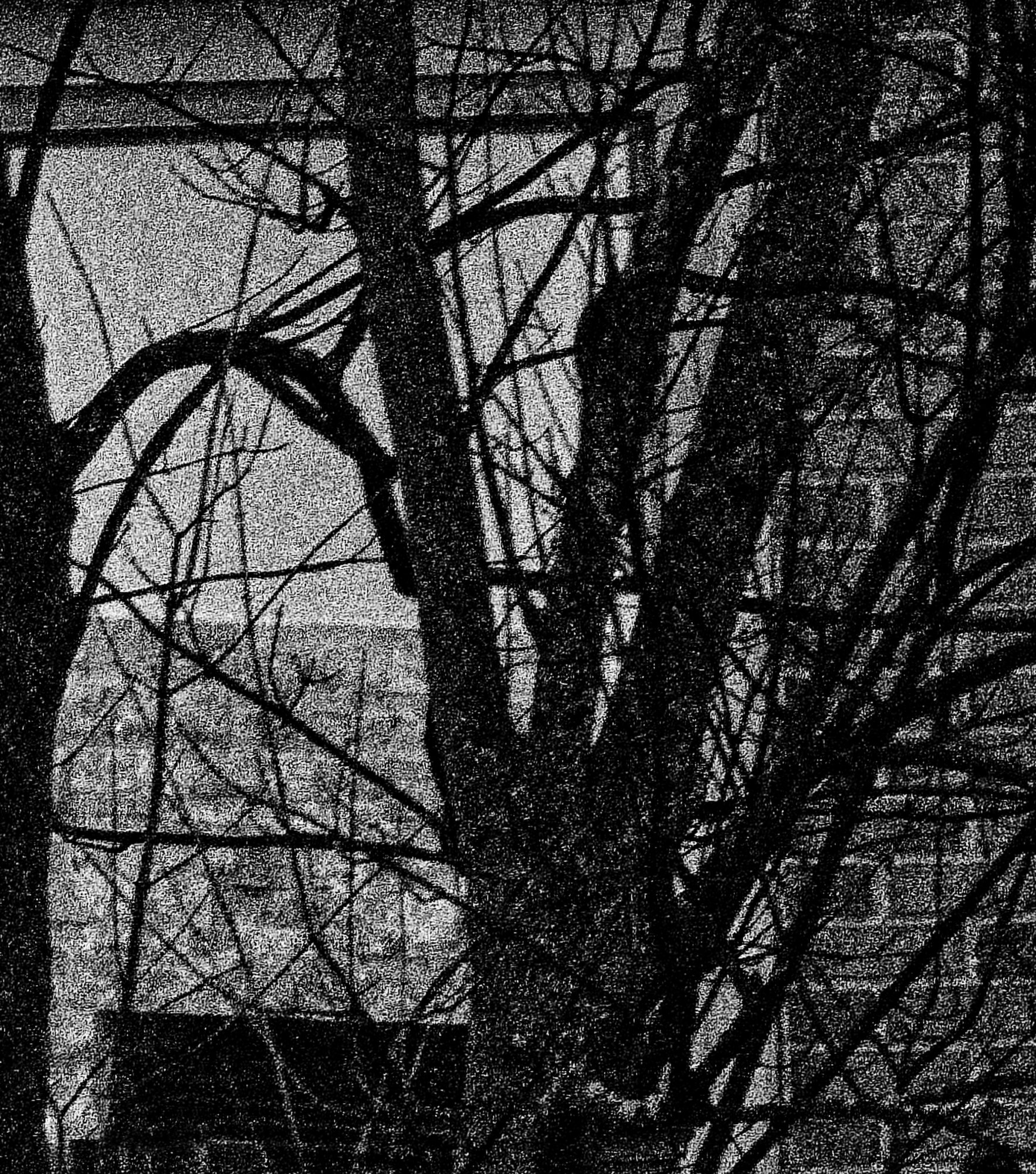 Gritty and Tangled.jpeg