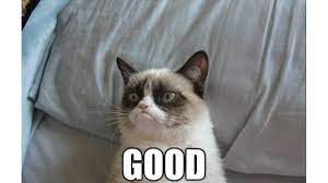 grumpy.jpg