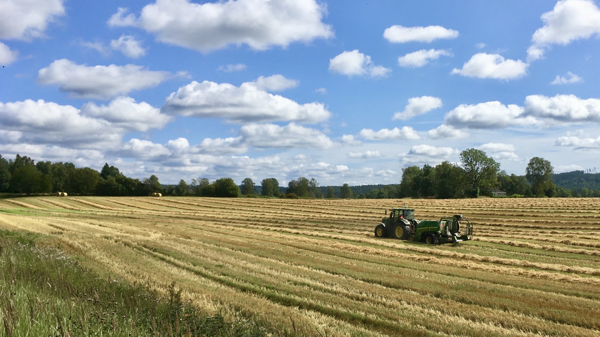 Harvest.JPG