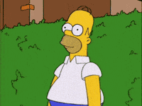 Homer Bush.GIF
