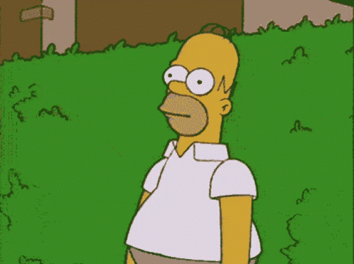 homer-simpson-hide.gif