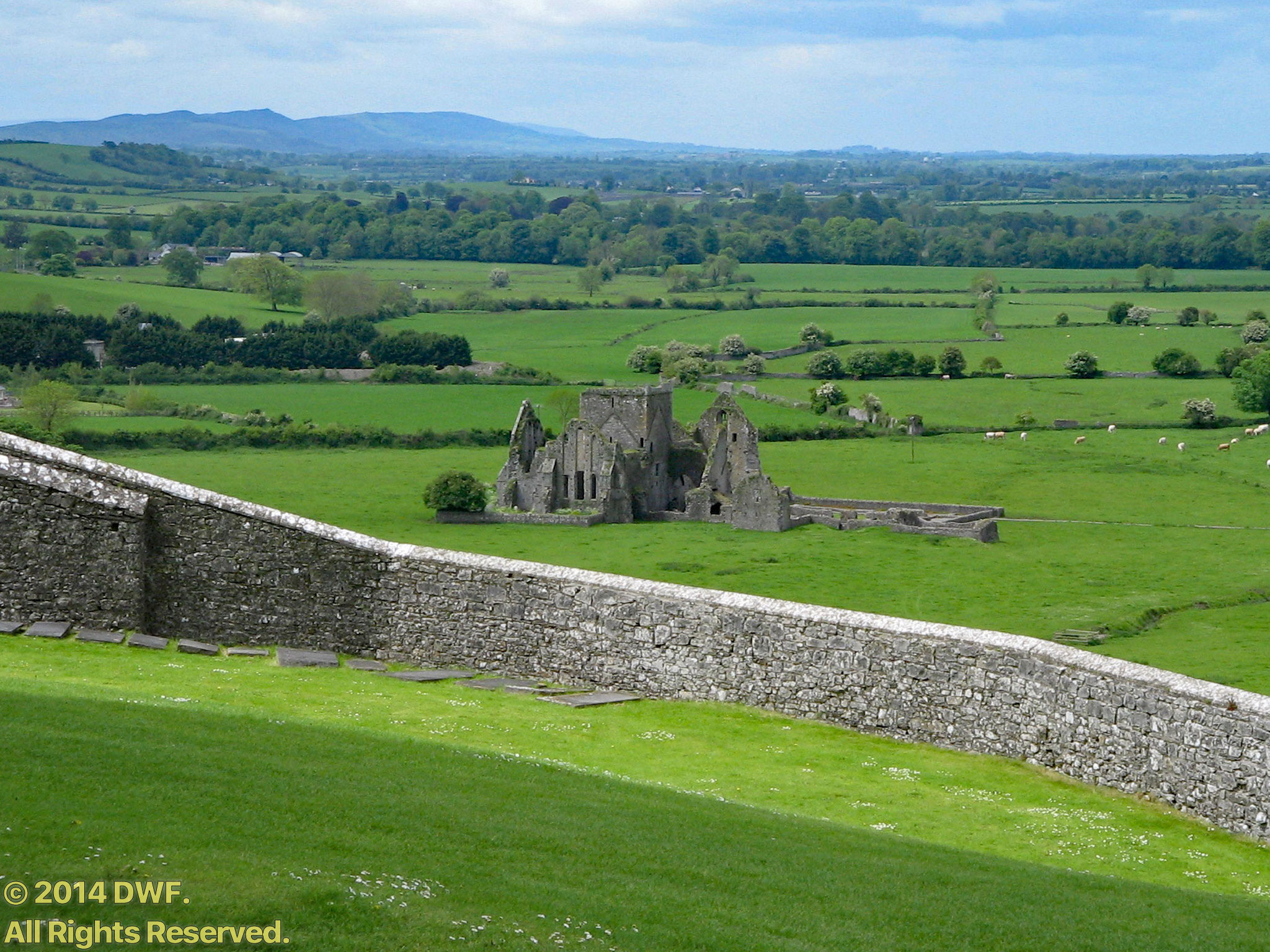 Hore-Abbey,-Co-Tipperary,-Ireland.jpg