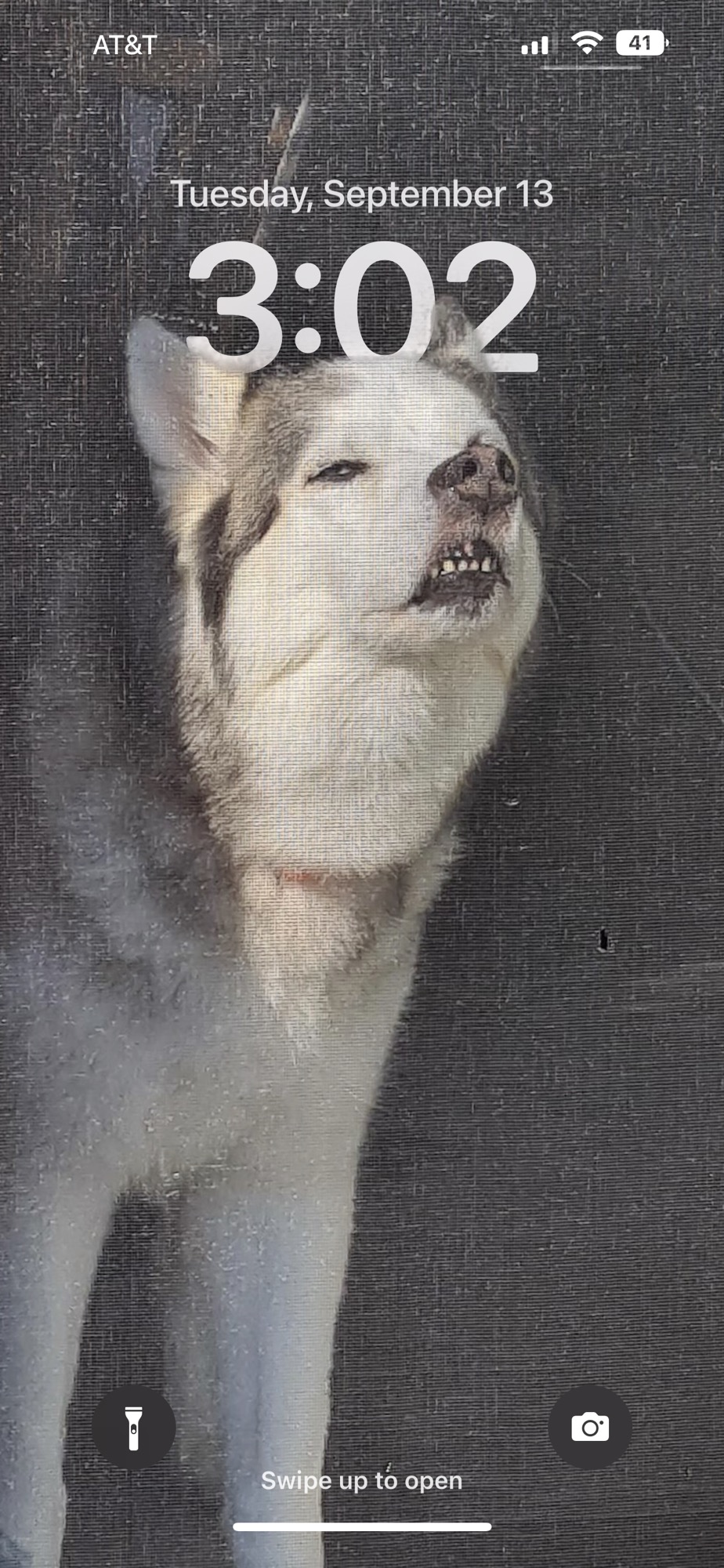 IbK3AoZ.jpg