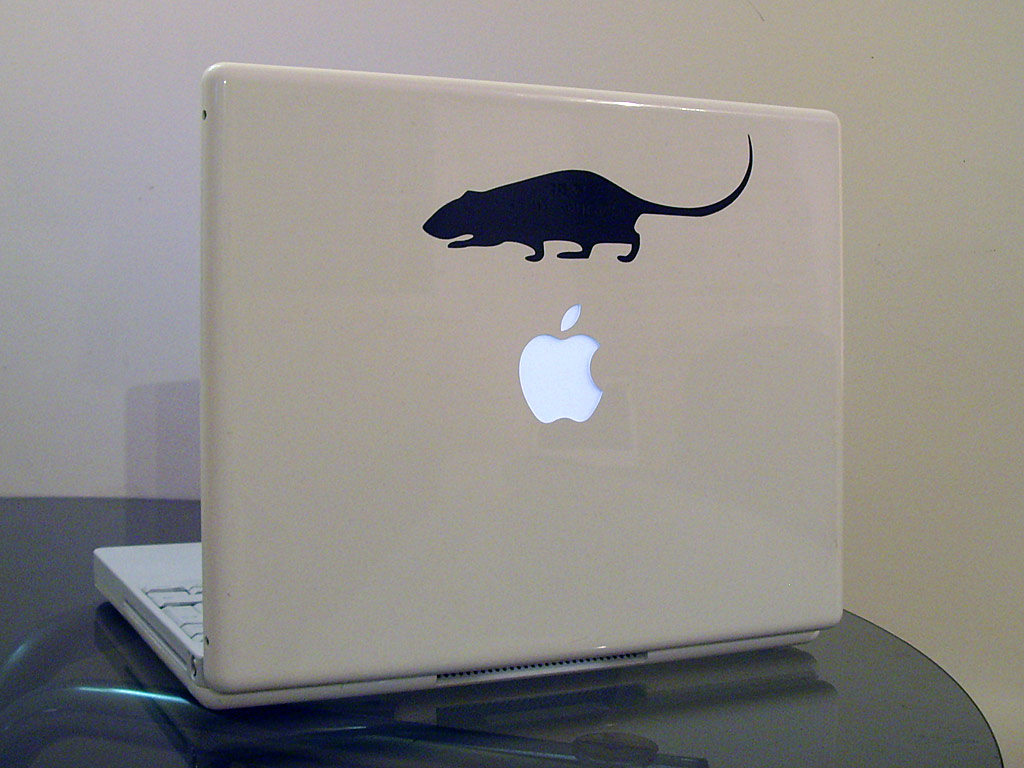 iBook.jpg