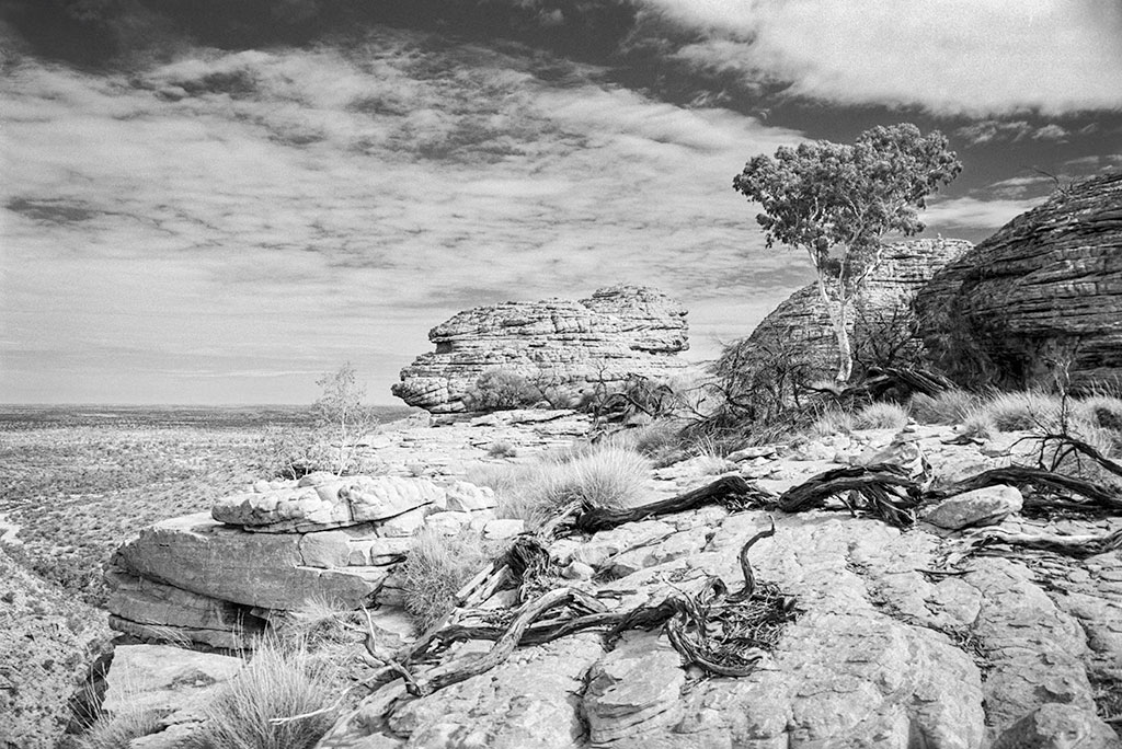 Ilford_SFX_200_Kings_Canyon_1.jpg