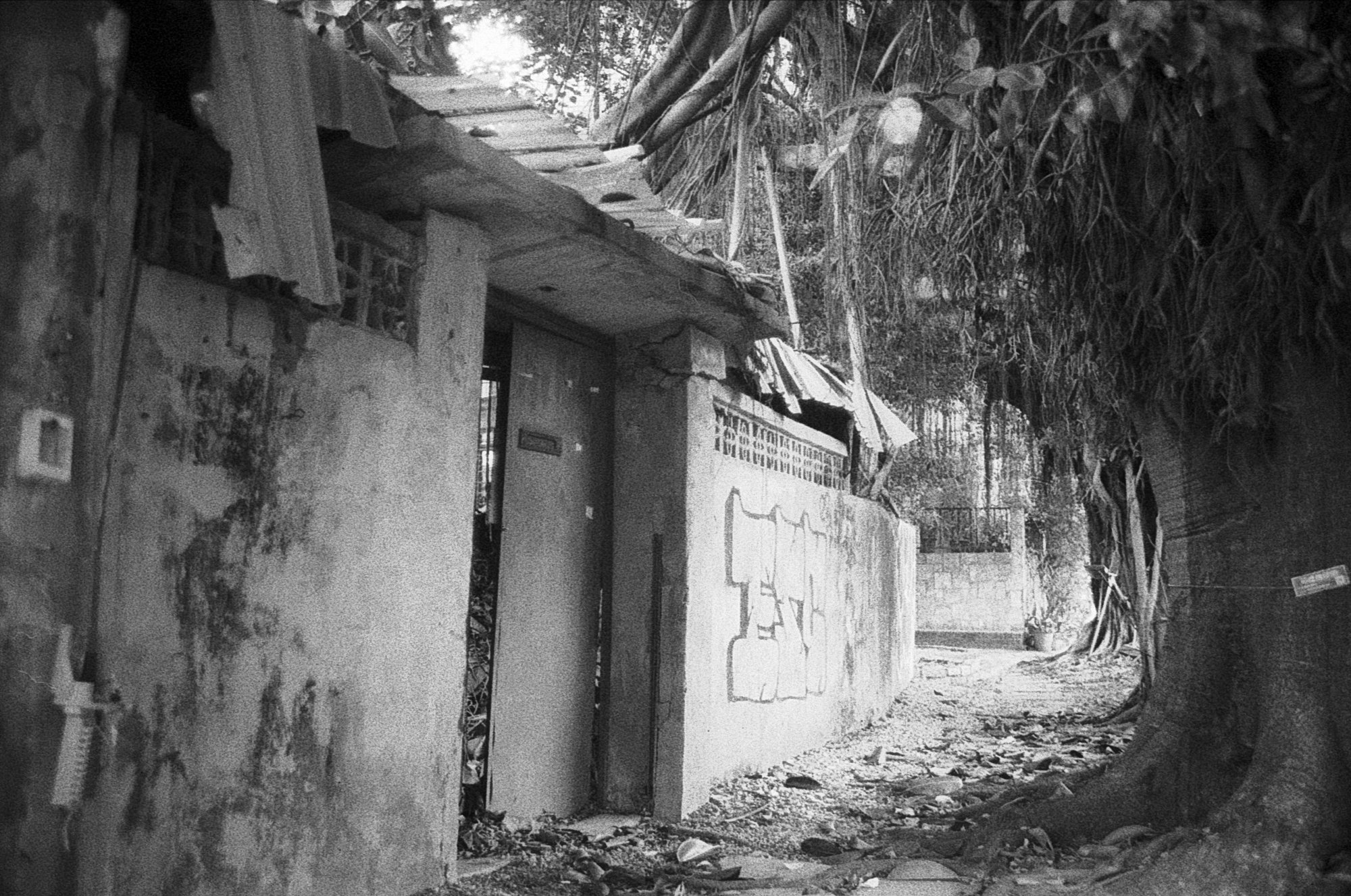 Image 7.jpg