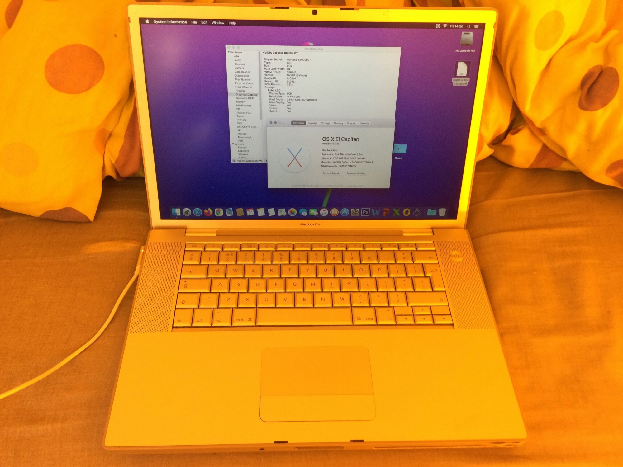 Image from iOS (24).jpg