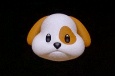 image.gif