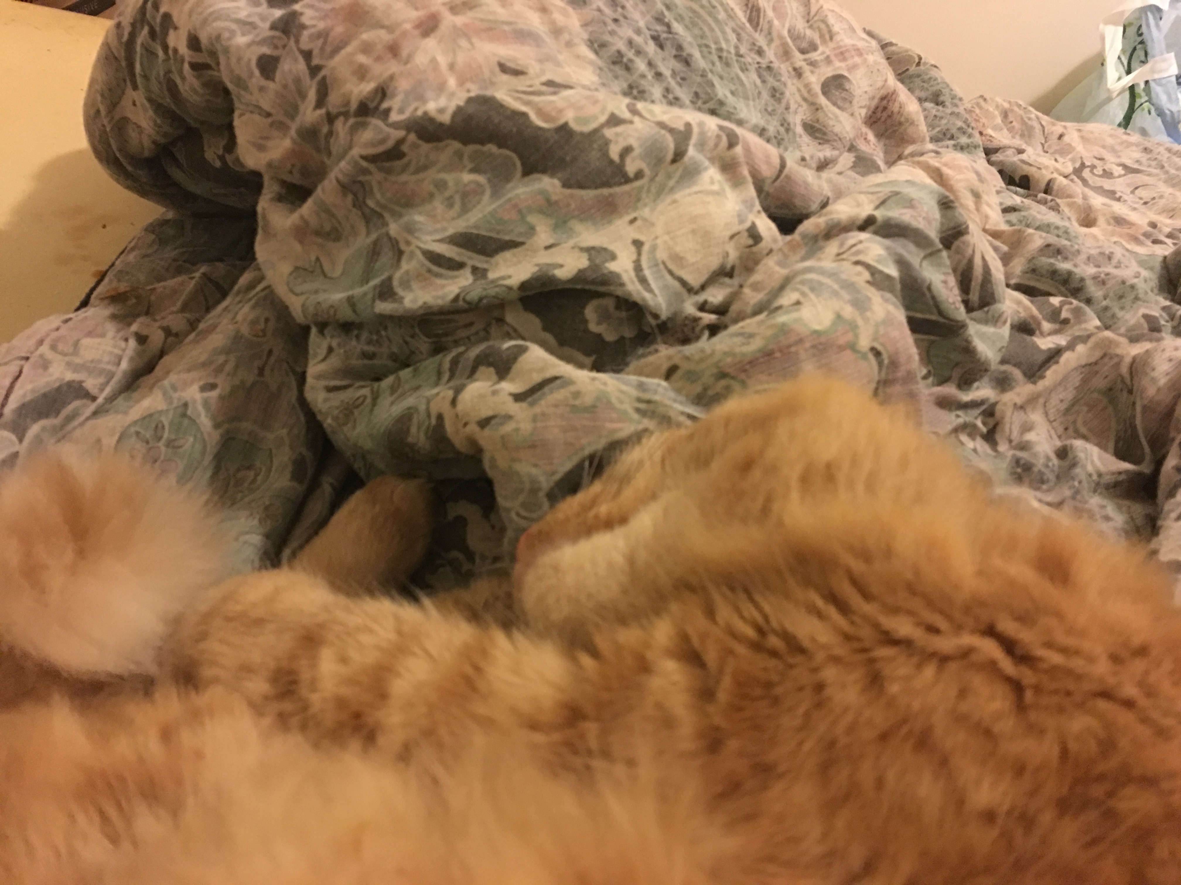 image.jpeg