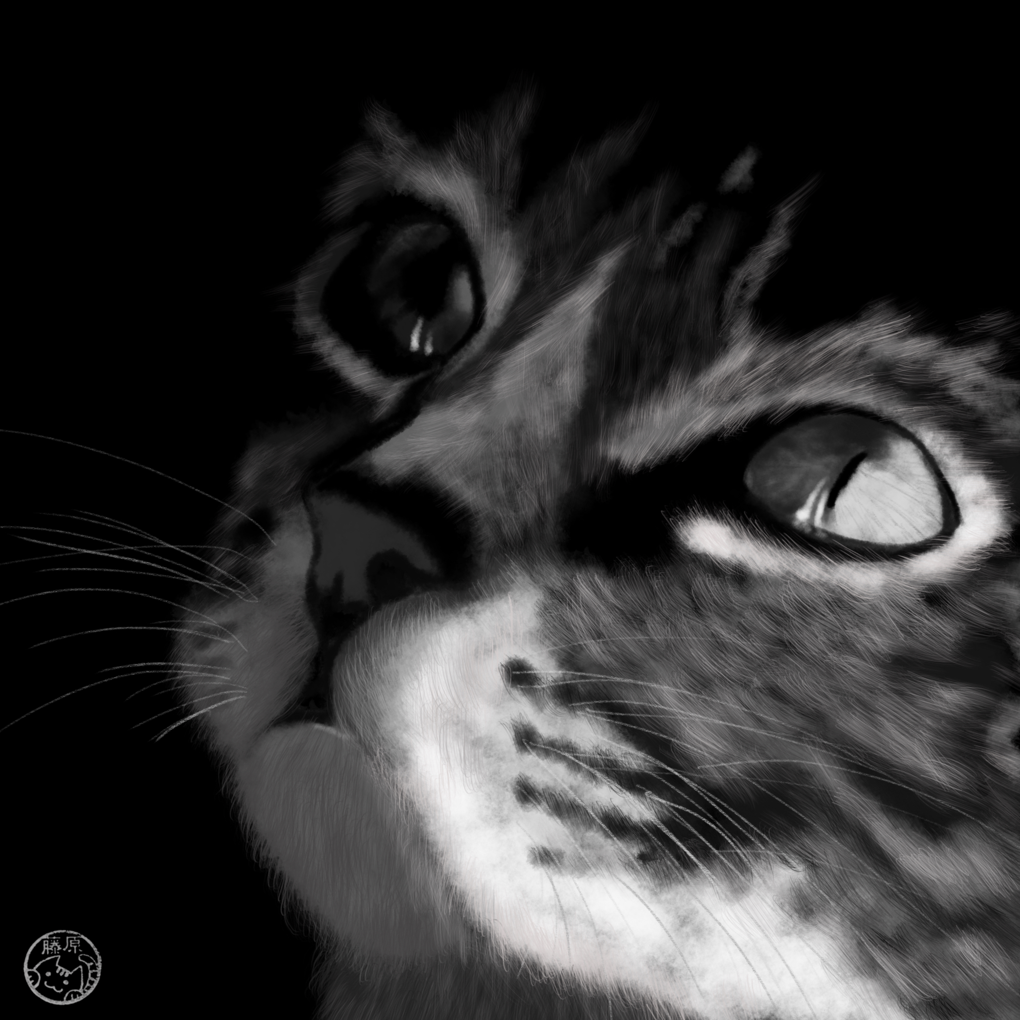 Sketchbook pro mac