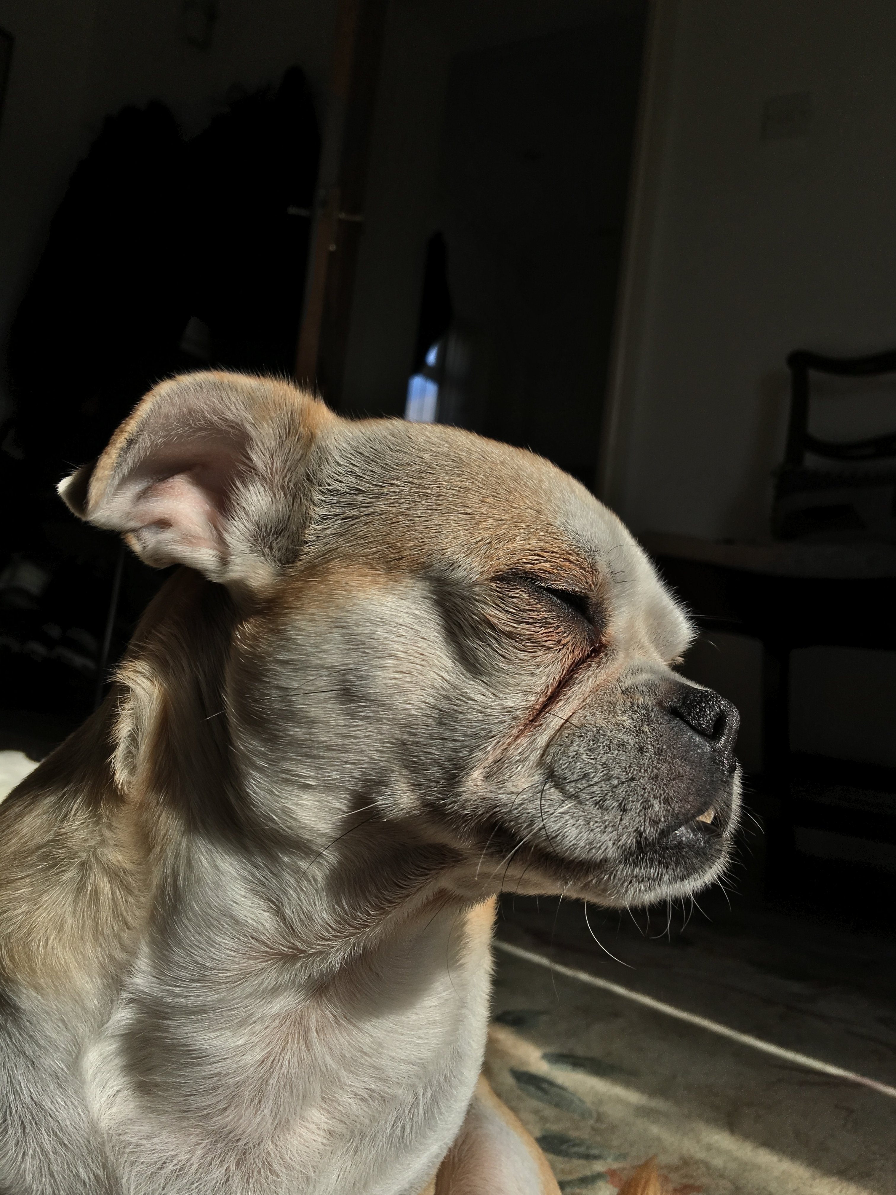 image.jpeg