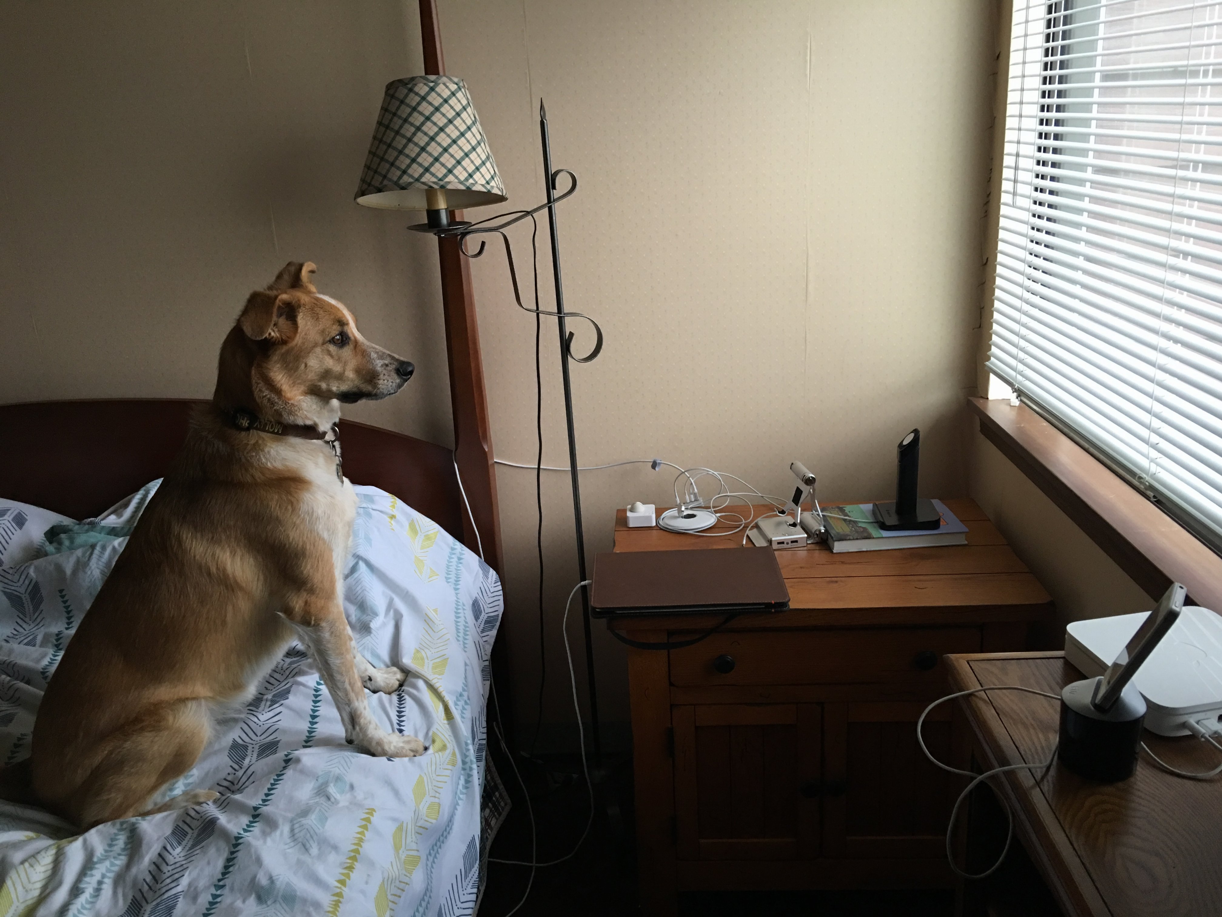image.jpeg