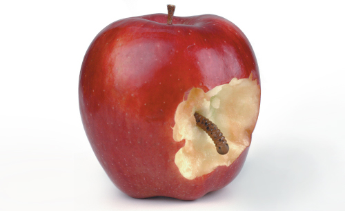 image.jpeg