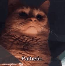 images.jpeg