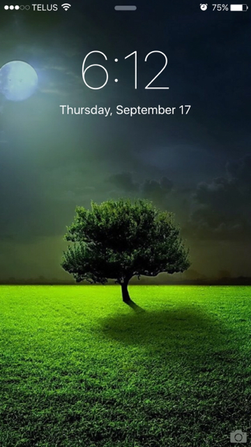 ImageUploadedByTapatalk1442528139.062285.jpg