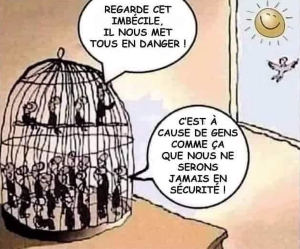 Imbécile nous met en danger.png