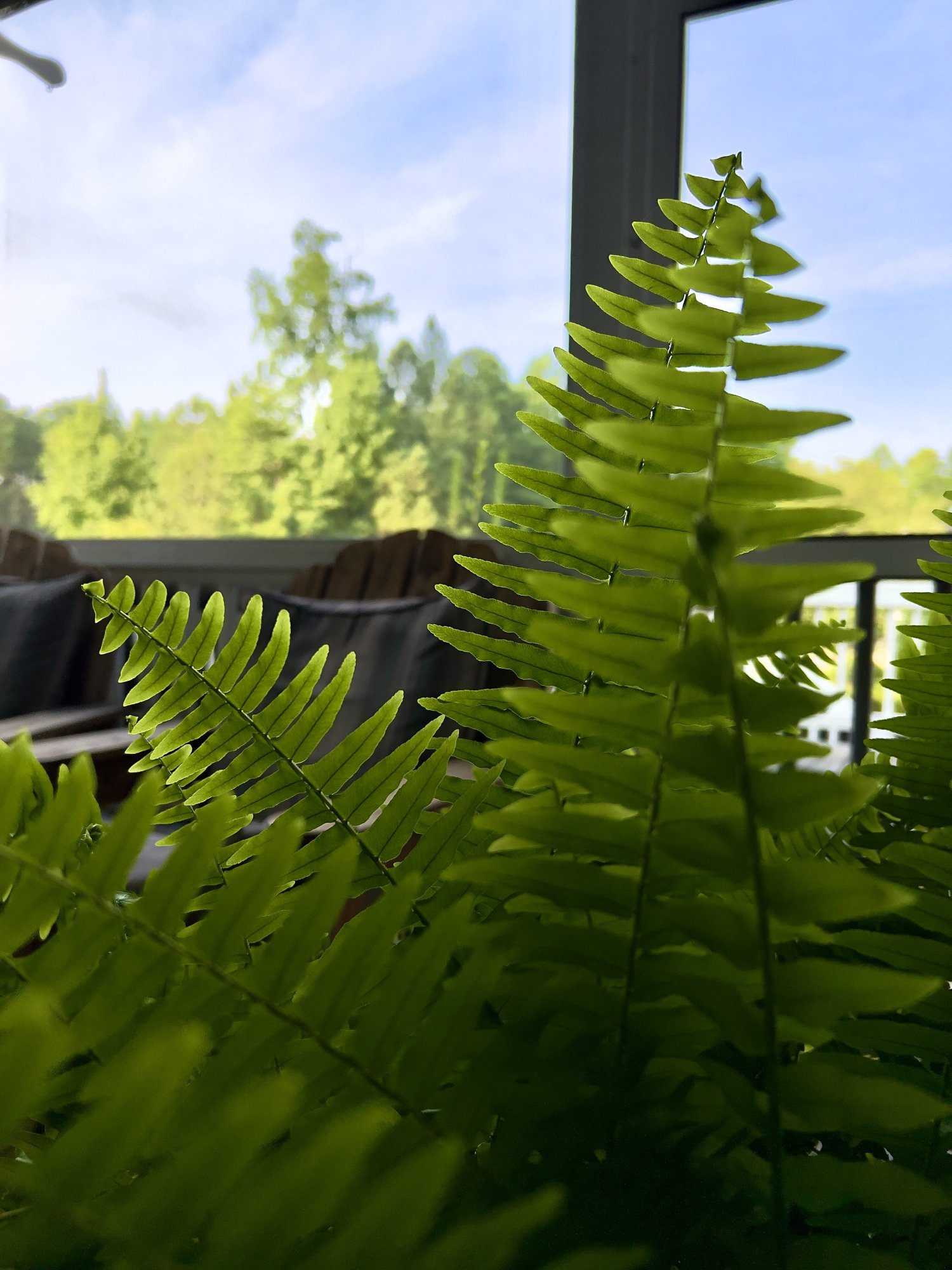 IMG-6106.jpg
