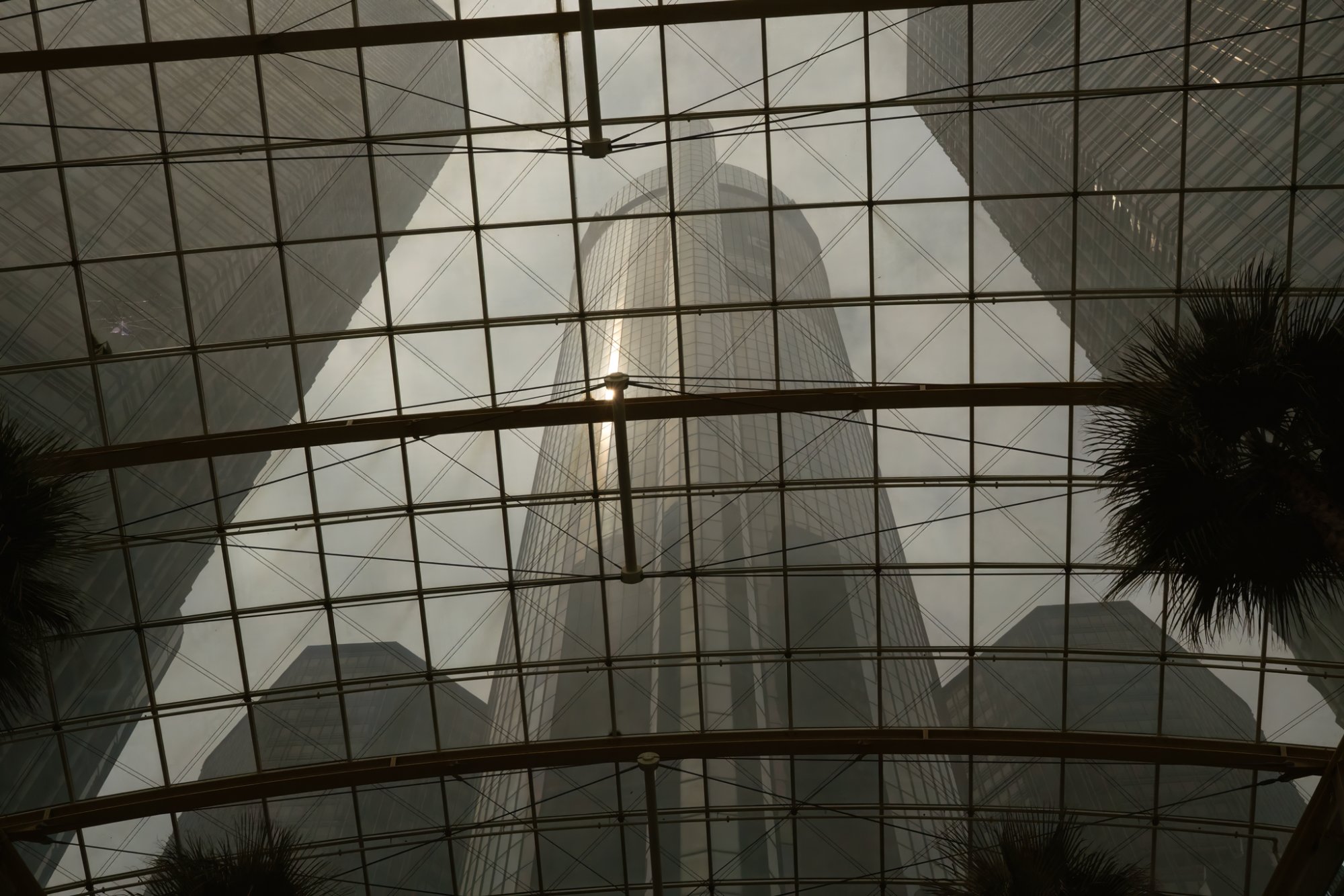 img-rencen-001.jpg