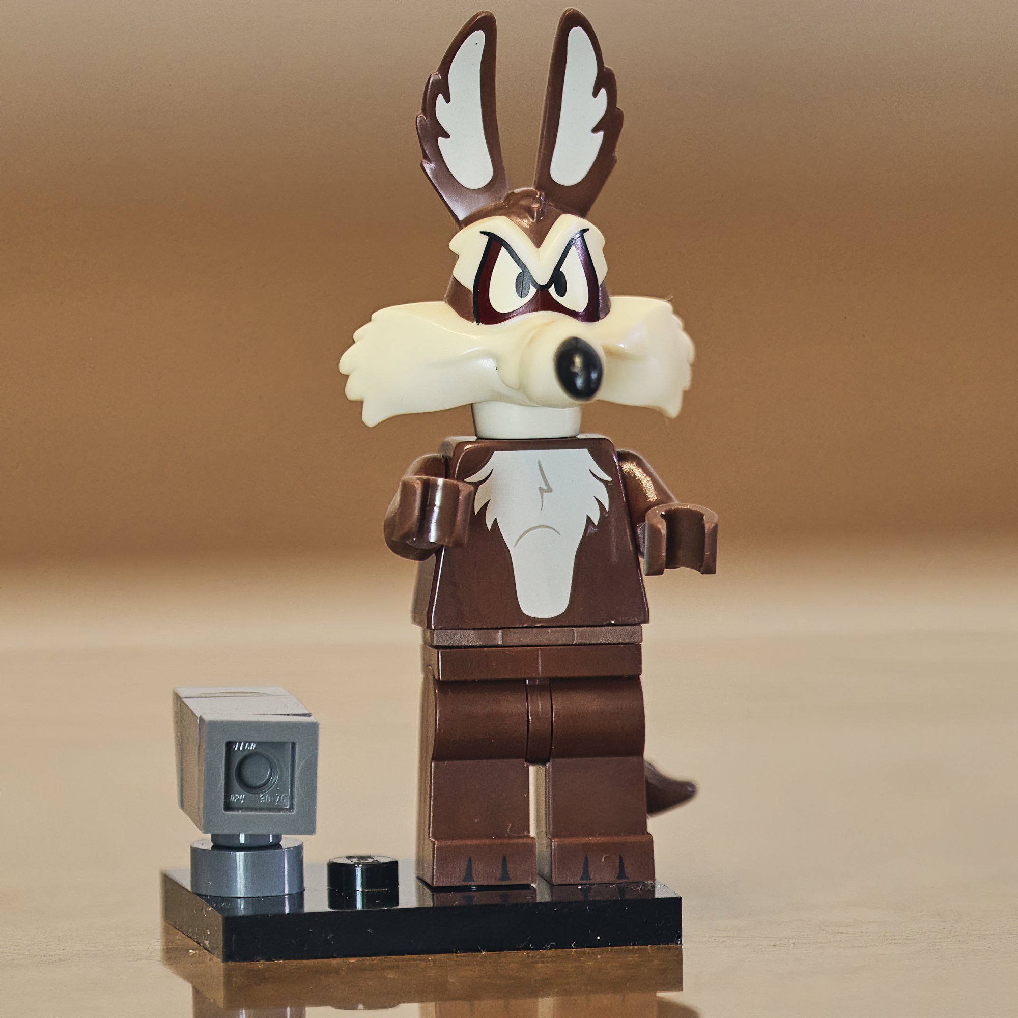 img-willie-e-coyote-profile-00083-23-08-04 copy.jpg